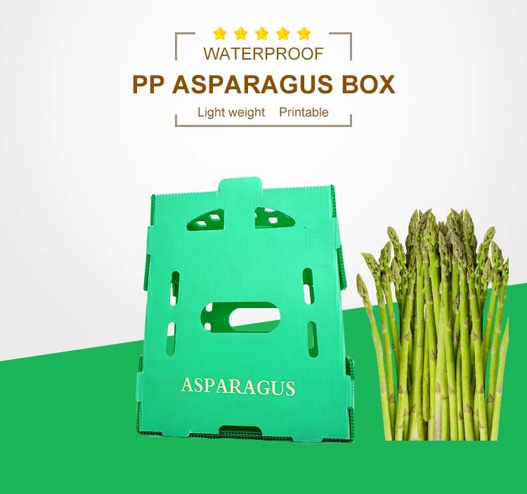 Asparagus packaging box Asparagus packaging box