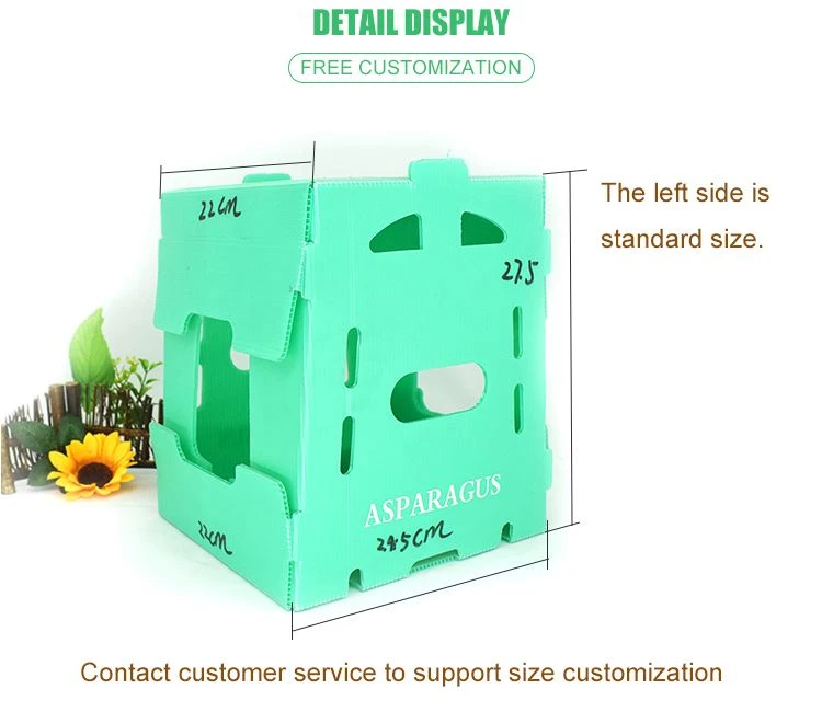 COROPLAST packaging box COROPLAST packaging box