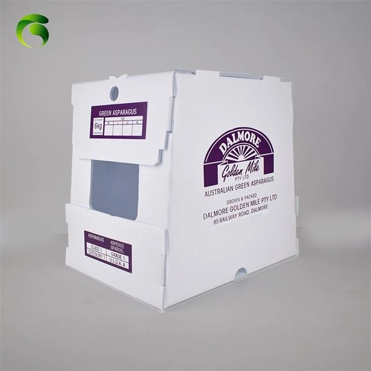 Factory OEM Corrugated Plastic Asparagus Packaging Box Factory OEM Corrugated Plastic Asparagus Packaging Box