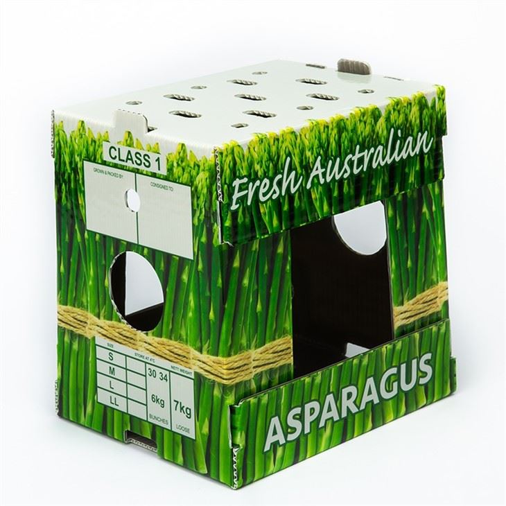 Factory OEM Corrugated Plastic Asparagus Packaging Box Factory OEM Corrugated Plastic Asparagus Packaging Box